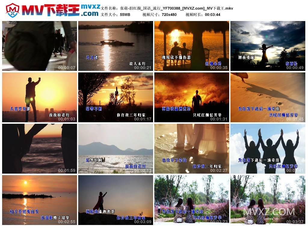 张萌-泪红颜_国语_流行_YF700388